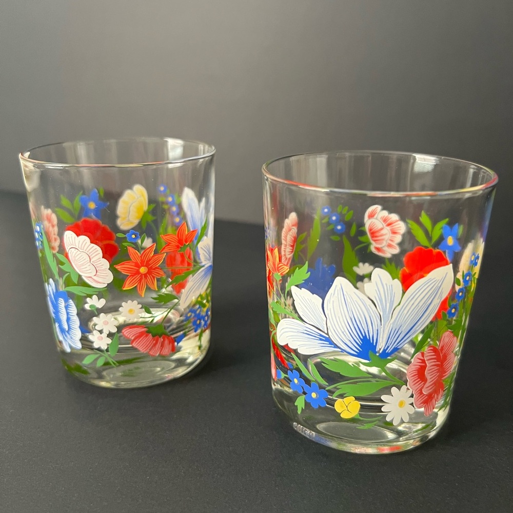 Vintage‎ Reims France Floral Multicolor Tumbler Glasses Set of 2